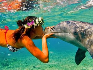 immagine per Iconic Hawaii