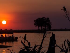 immagine per Viaggio in Botswana – Glamping Safari