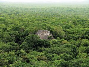 Immagine per Terra dei Maya