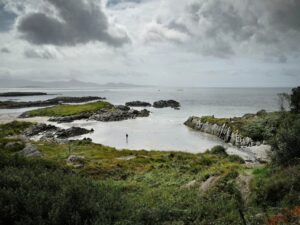 Immagine per Scozia Irlanda