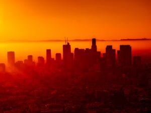Immagine per Los Angeles e Polinesia