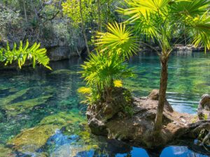 Immagine per Messico discover Yucatan e mare