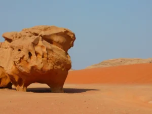 immagine per Tour Esclusivo Giordania con Wadi Rum