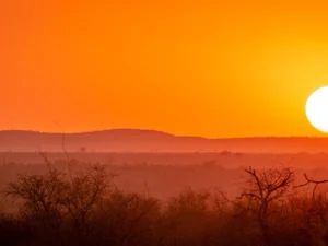 Immagine per Speciale Capodanno: Meraviglie Sudafricane