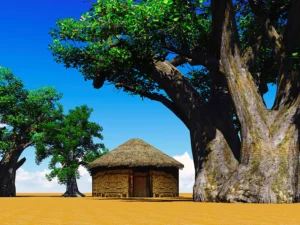 Immagine per Gran tour Senegal