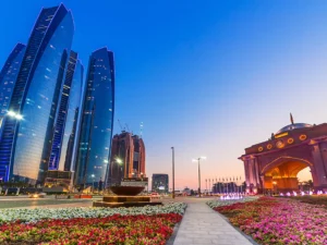 Immagine per Gran tour emirati arabi