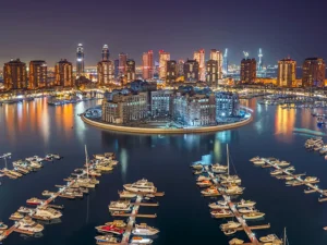 Immagine per Qatar