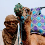 Immagine per Viaggio in Marocco- Itinerario di 8 Giorni