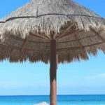 immagine per Chiapas e Yucatán- Viaggio nell’Antica Civiltà Maya