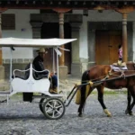 Immagine per Esperienza Messicana- Dai Tesori Archeologici di Teotihuacan