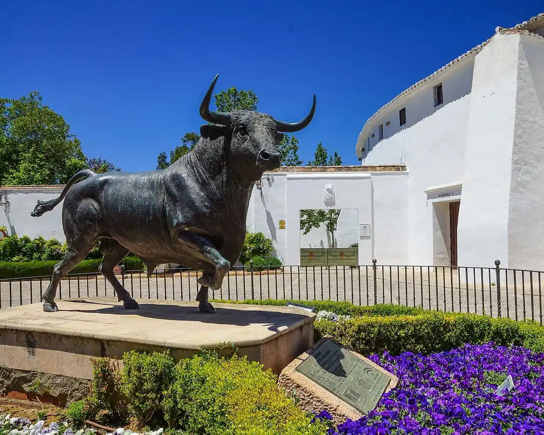 Immagine per I colori dell’Andalusia, terra del flamenco