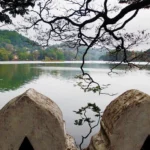 Immagine per Grand Tour dello Sri Lanka 5 stelle