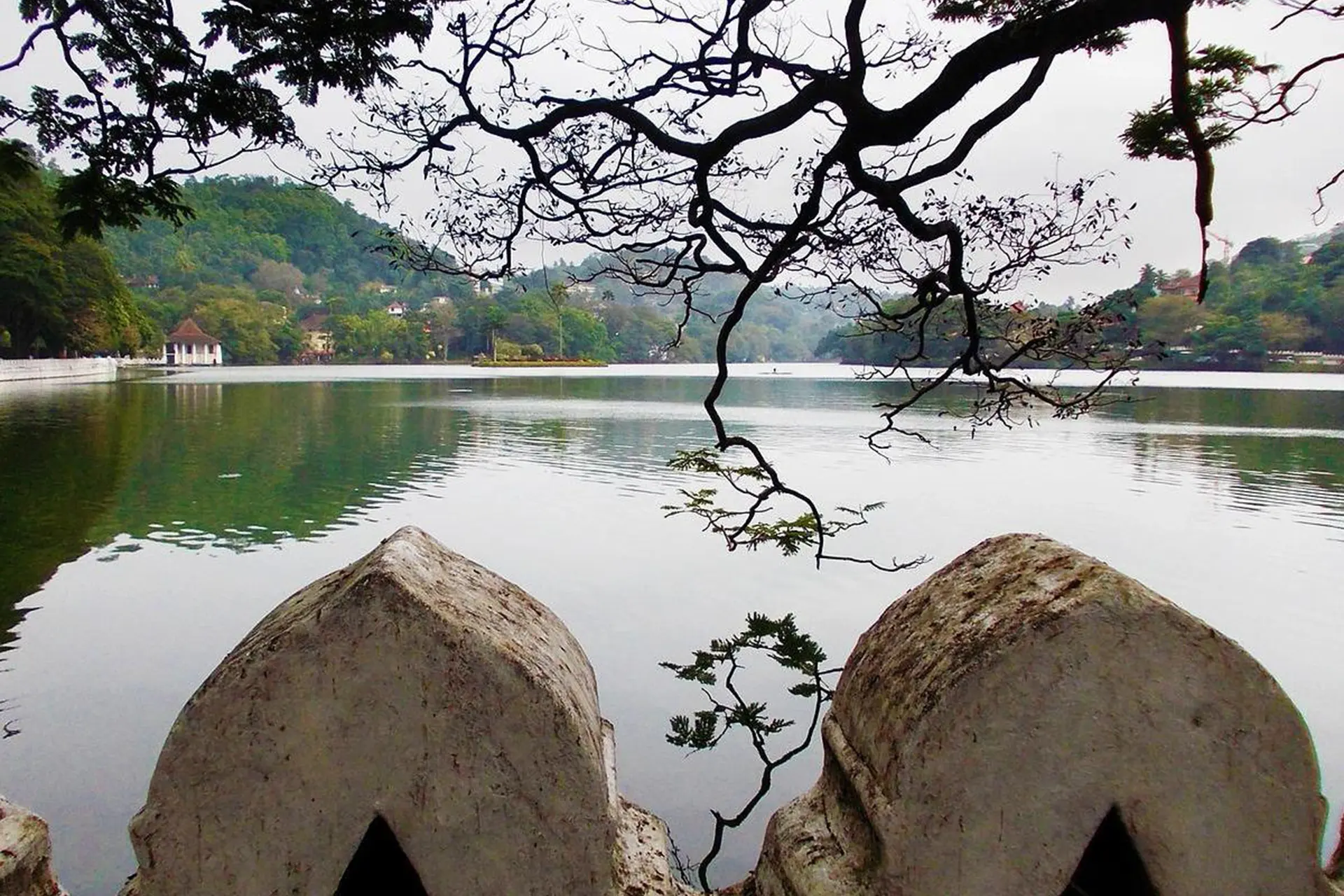 Immagine per Grand Tour dello Sri Lanka 5 stelle