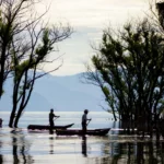 Immagine per Guatemala e Messico Seguendo il Quetzal