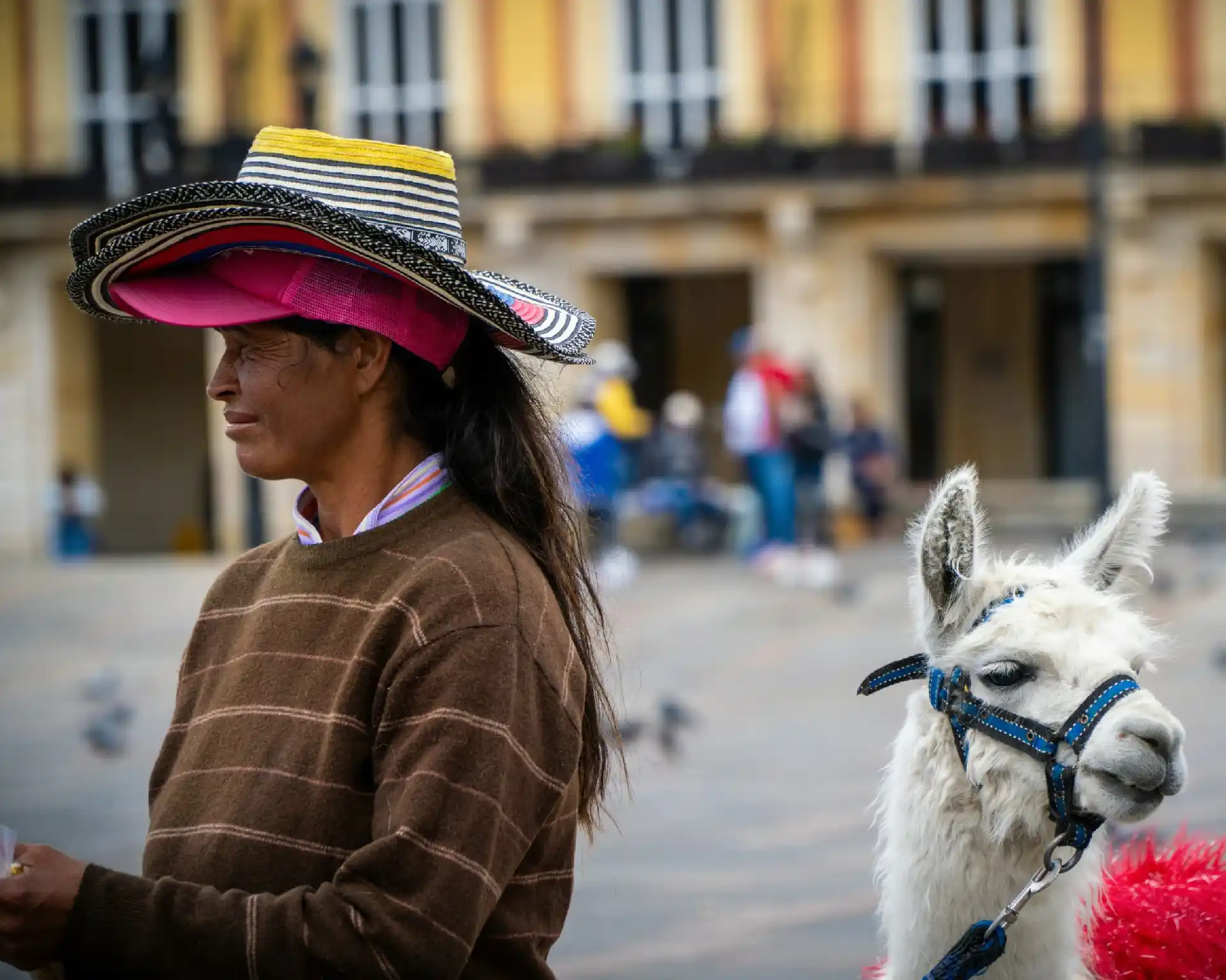 Immagine per Tour 12 giorni Colombia e Panama