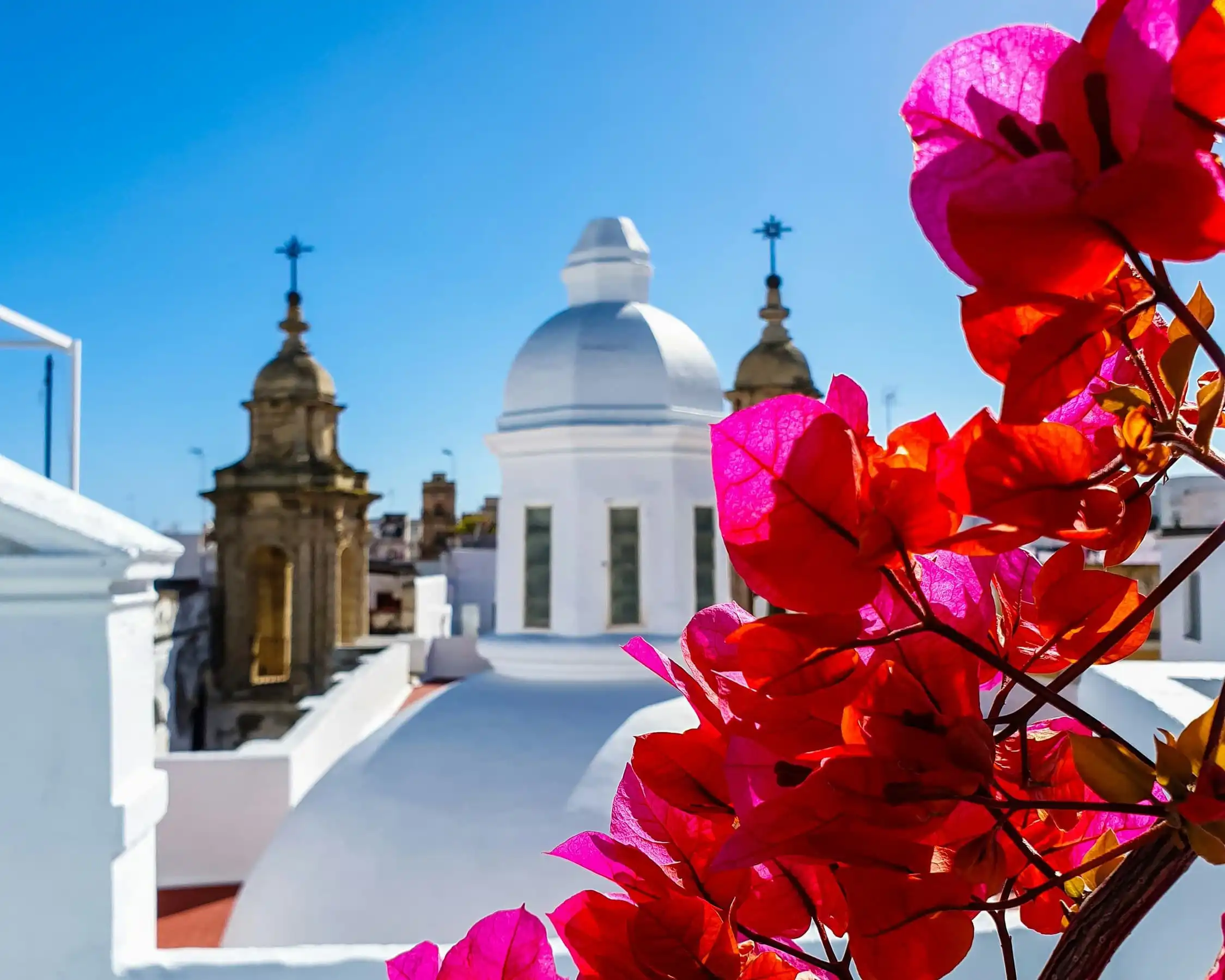 Immagine per I colori dell’Andalusia