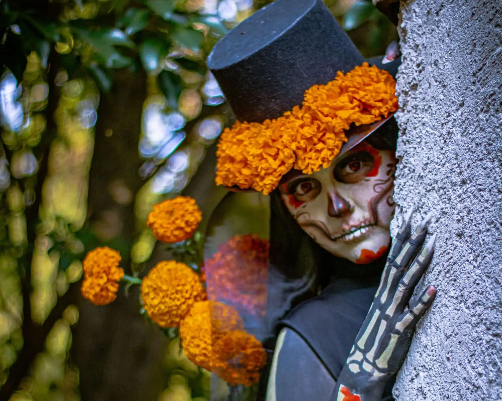 Immagine per Tour del Messico Y Dìa De Muertos