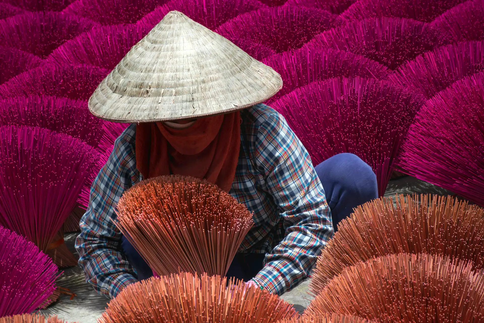immagine per Vietnam Experience