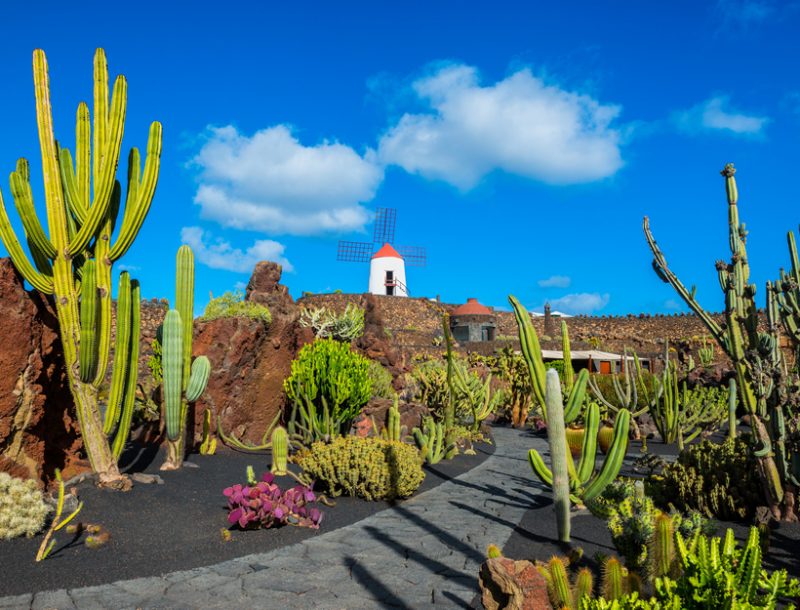 Immagine per Gran tour Canarie