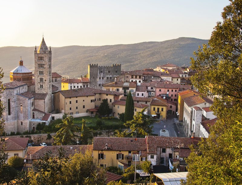 Immagine per Etruschi, attività mineraria e sviluppo urbano in Maremma