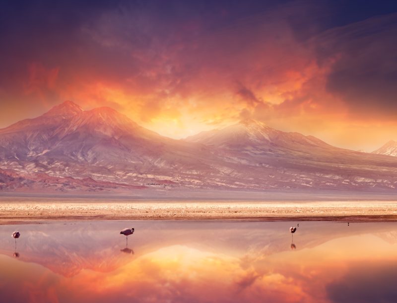 Immagine per Cile-Deserto-di-Atacama