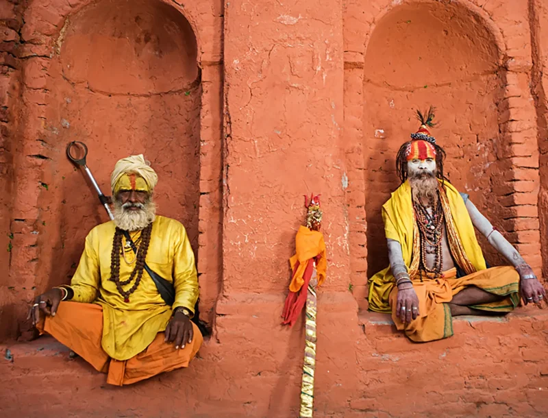 Immagine per Gran tour del Nepal