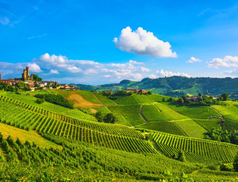 immagine per Tour delle Langhe – Standard Tour