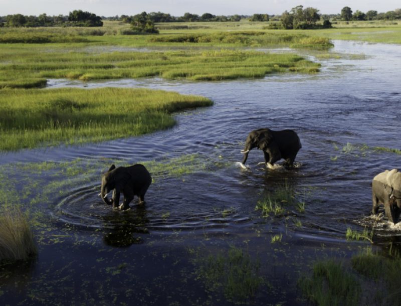 immagine per Zimbabwe & Botswana. Safari Fly-in e Sorvolo in Mongolfiera