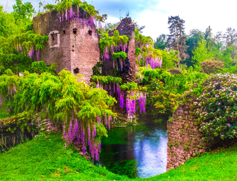 Immagine per Ninfa2