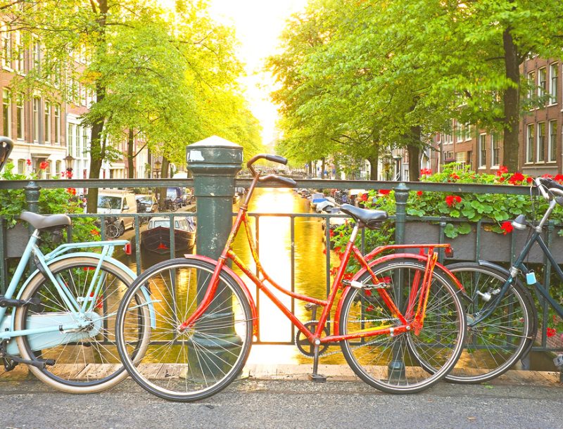 immagine per Olanda & Belgio