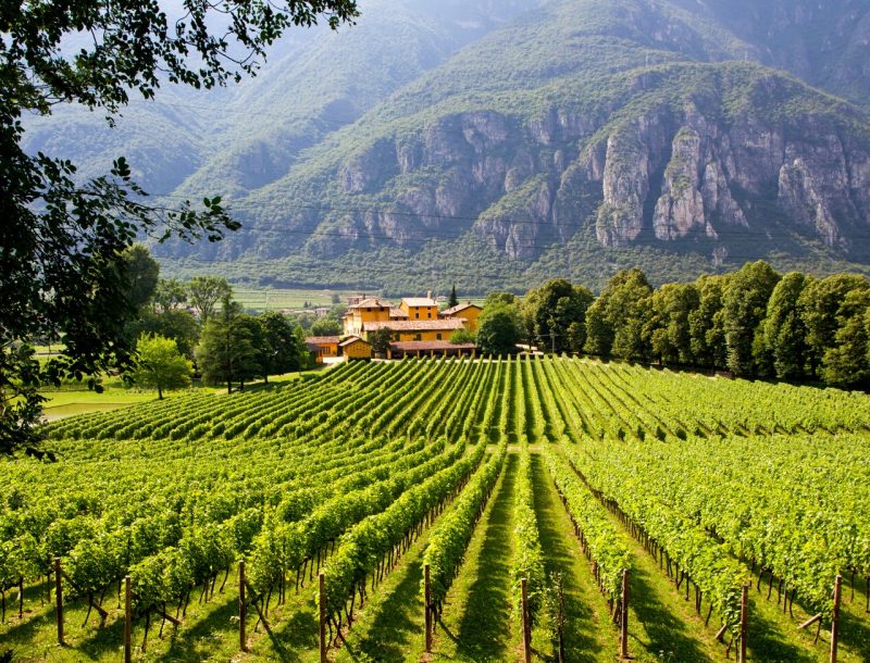 immagine per Scopri L'Alto Adige