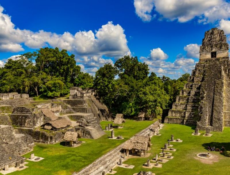 Immagine per Tikal