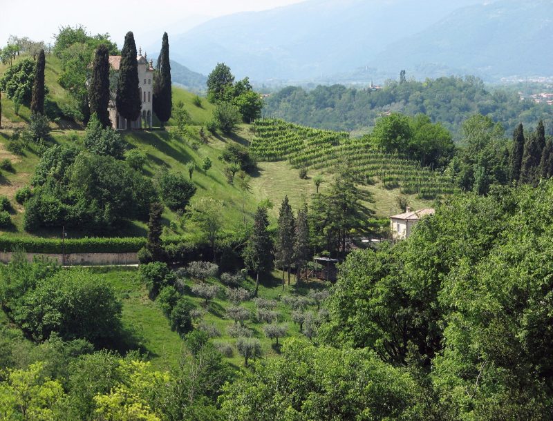 immagine per Tour Colli Asolani & Dintorni – Gold Tour