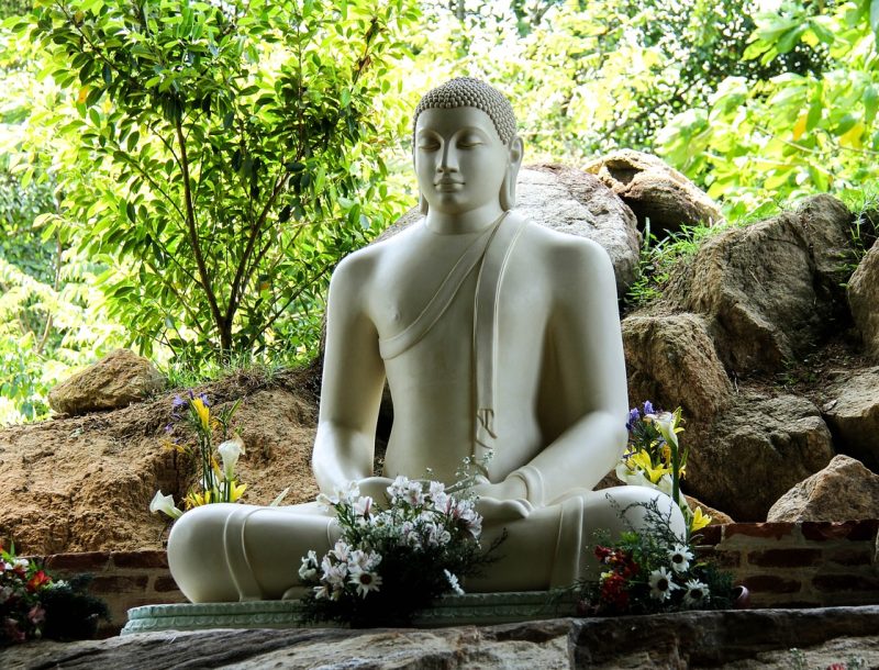Immagine per Sri Lanka tour classico