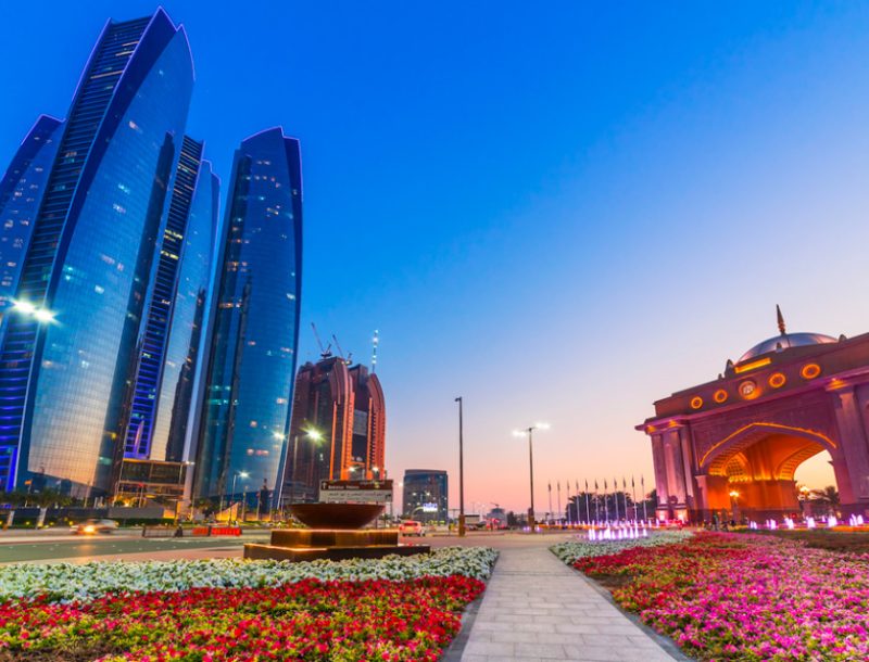 immagine per Gran Tour Emirati Arabi