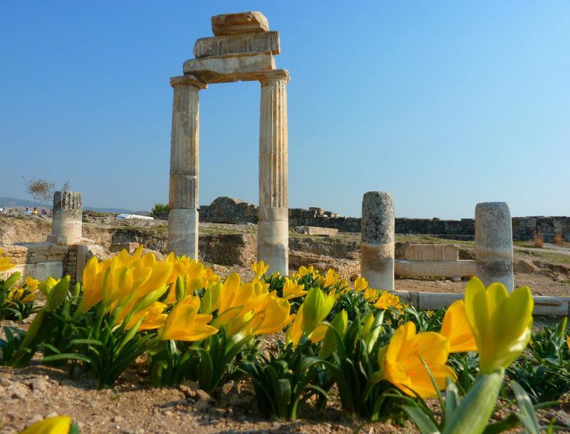 Immagine per tour Kervansaray