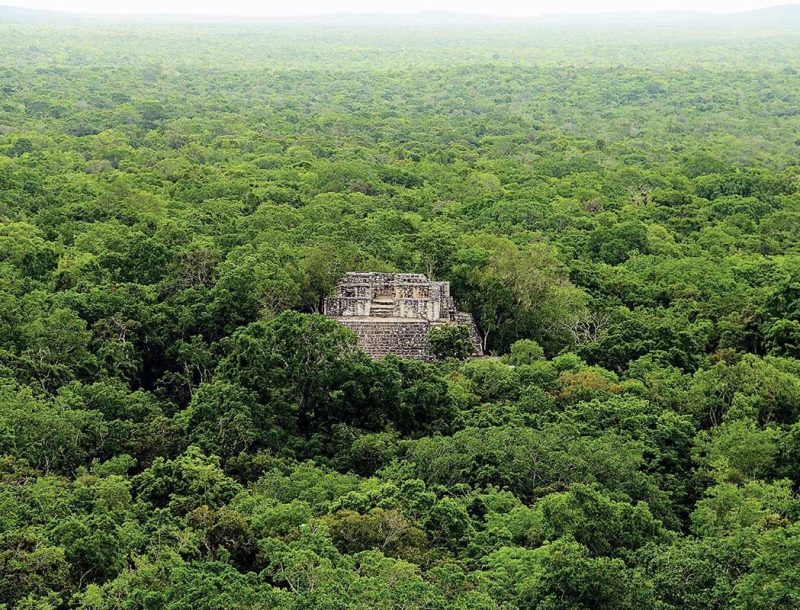 Immagine per Terra dei Maya