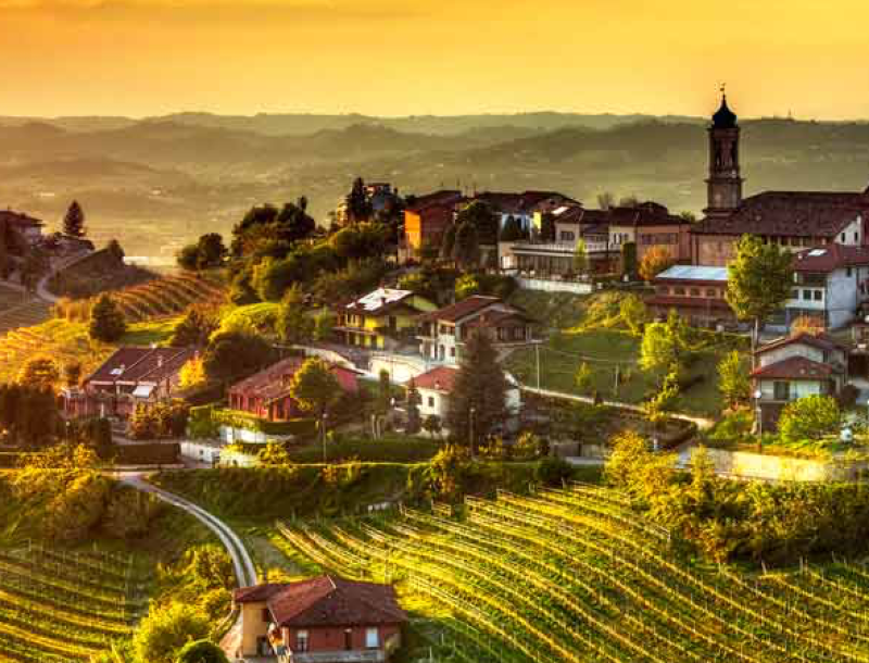 immagine per In vino veritas: dal lambrusco al moscato Tour delle Langhe