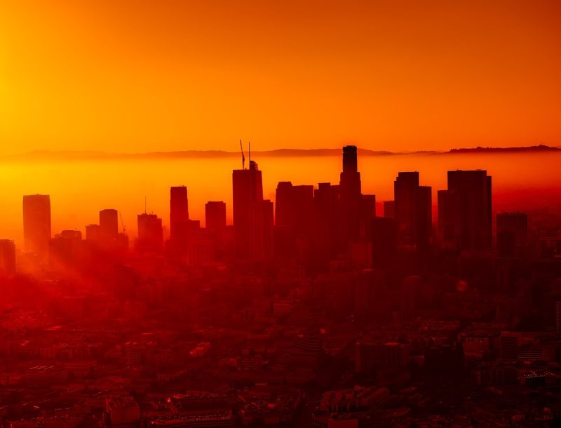 Immagine per Los Angeles e Polinesia