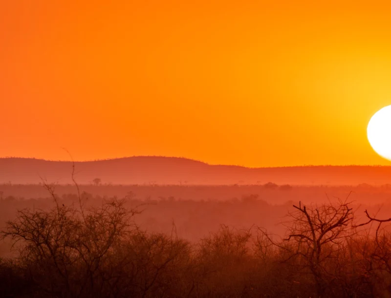 Immagine per Speciale Capodanno: Meraviglie Sudafricane