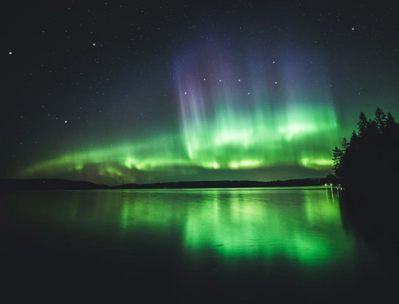 Immagine per Rovaniemi: Aurora Boreale & Igloo dI vetro