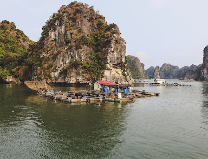 Immagine per Vietnam classico