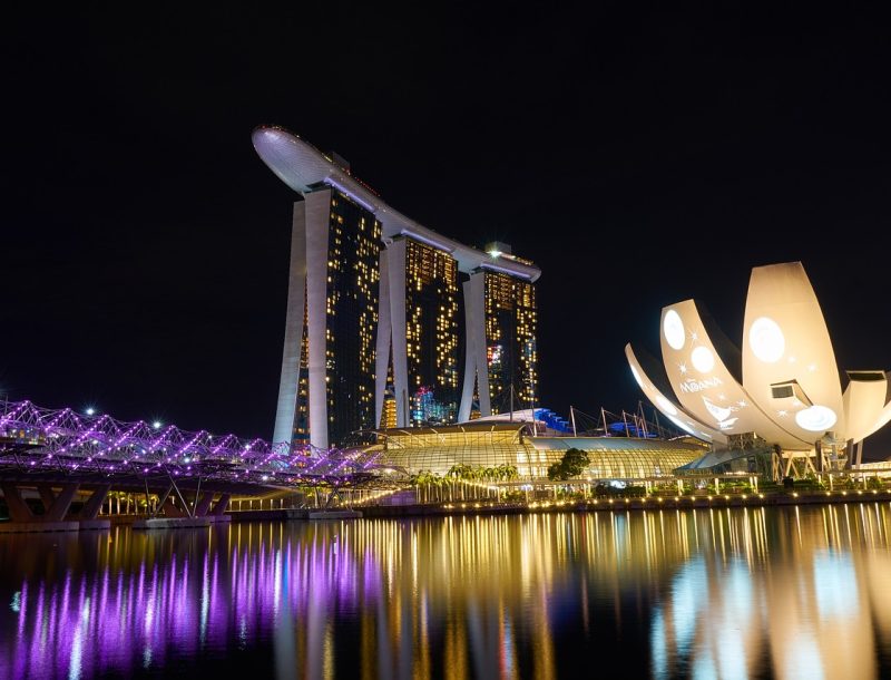 Immagine per Singapore e Bali