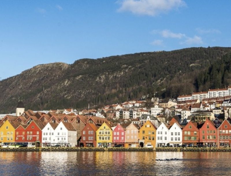 Immagine per Mini tour fiordi norvegesi da Oslo A Bergen