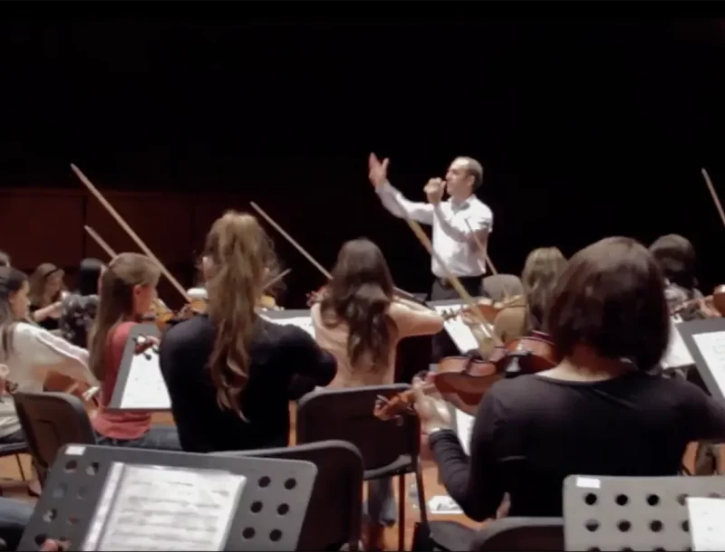 immagine per World Youth Orchestra, Suoni di fratellanza