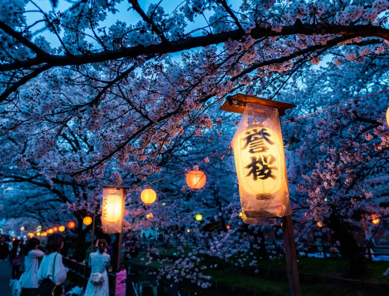 Immagine per Tour Giappone Hanami fioritura dei ciliegi